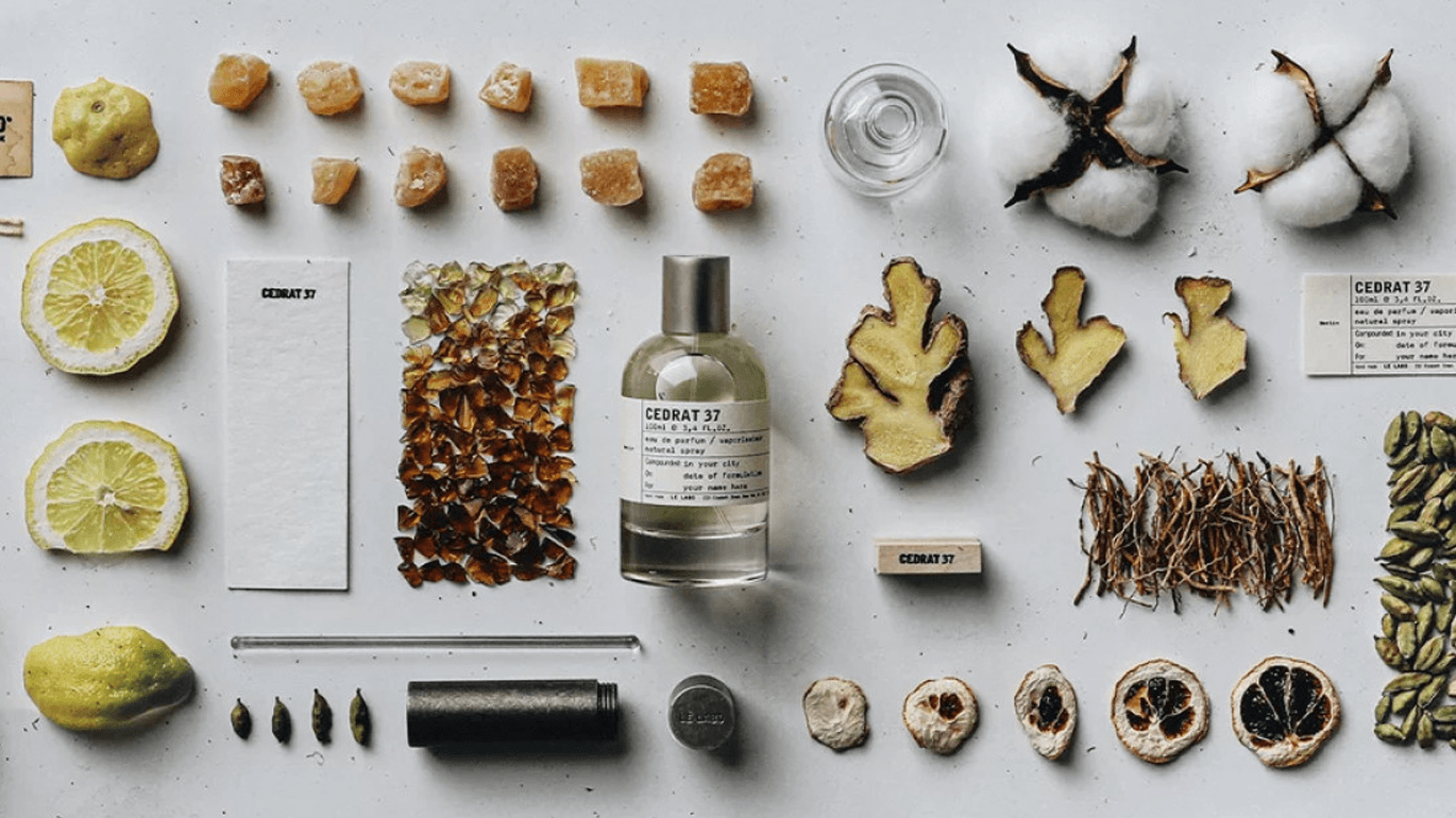 כל מה שרציתם לדעת על תרכובות בעולם הבישום - Molecule-Perfume