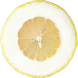 Amalfi Lemon