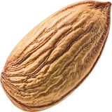 Bitter Almond