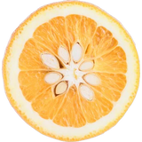 Bitter Orange