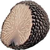 Black Truffle