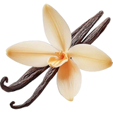 Bourbon Vanilla