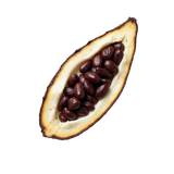Cacao