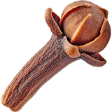 Clove
