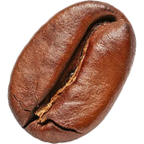 Coffee Absolute