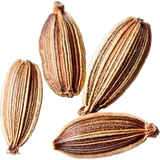 Cumin