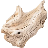 Driftwood