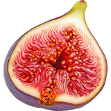Fig