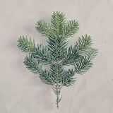 Fir