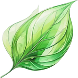 Green Notes
