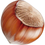 Hazelnut