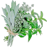 Herbal Notes