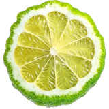Italian bergamot