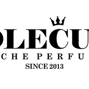 בשמים נישה ובוטיק logo