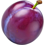 Plum