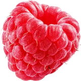 Raspberry