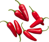 Red Chili Pepper