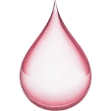 Rose Water