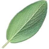 Sage