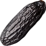 Tonka Bean