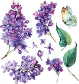 Violet Leaves