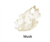 Musk