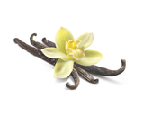  Vanilla Absolute